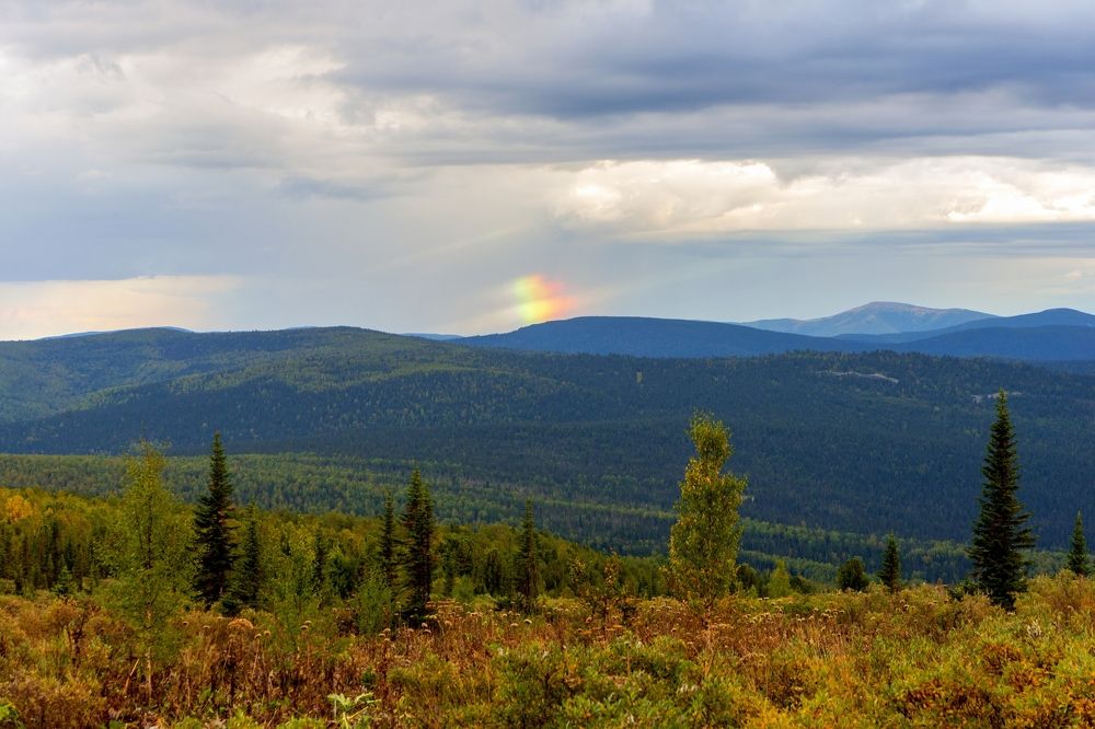 Радуга над тайгой