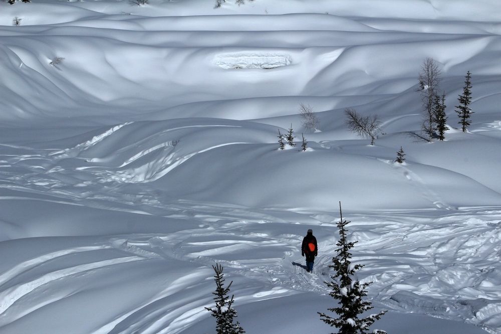Тальк.Он и зимой тальк.