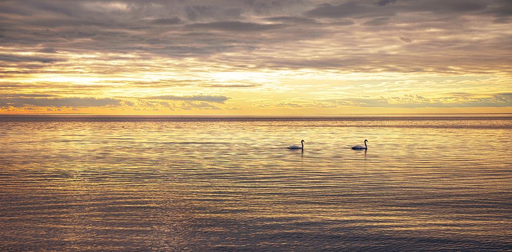 пора по парам...