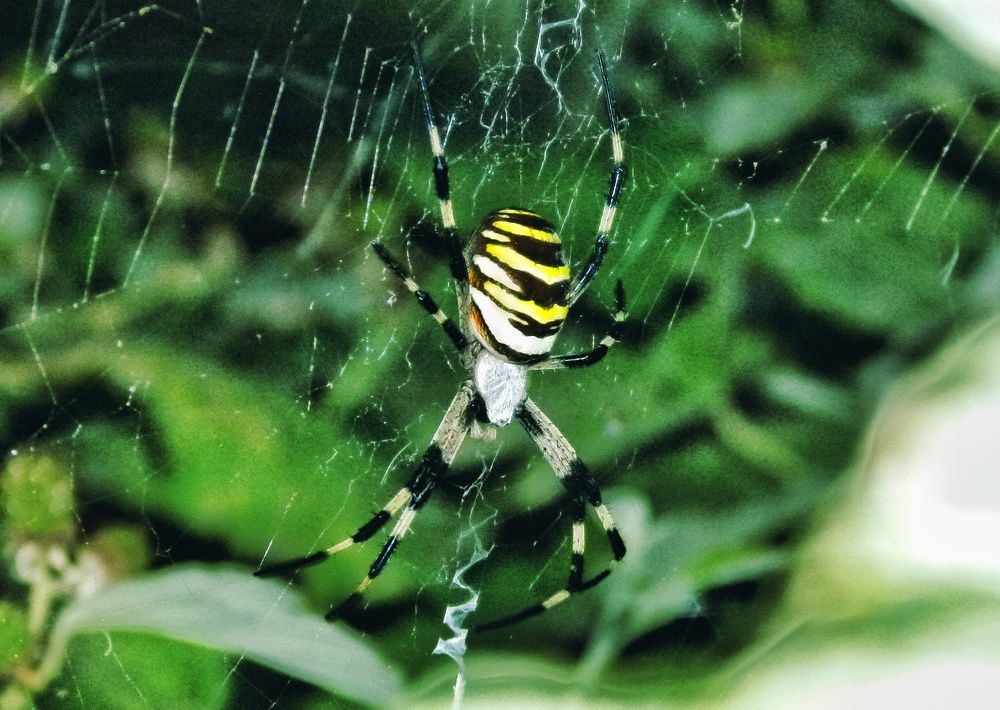 Photograph by Idir Bouaicha