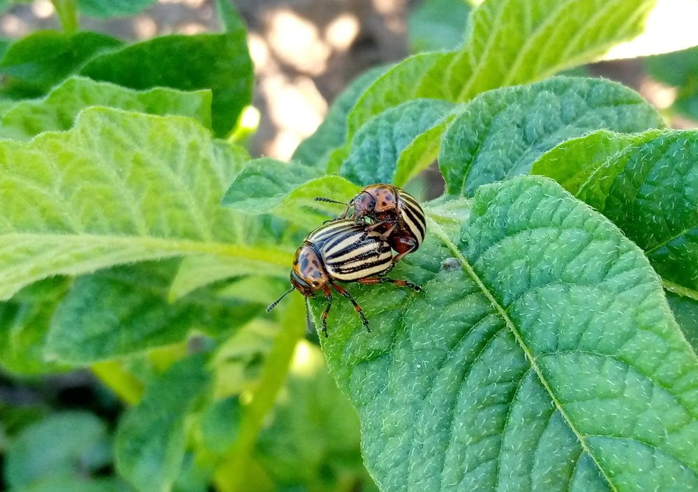 Photograph by Глеб Кузьминых