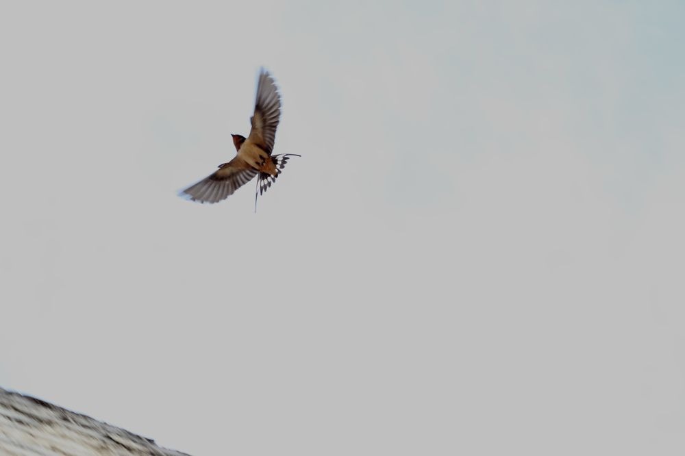 Photograph by Andrea Alcalá