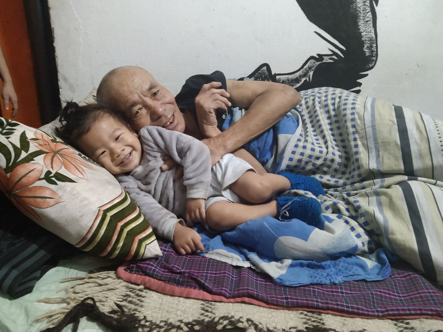 Photo #7232804