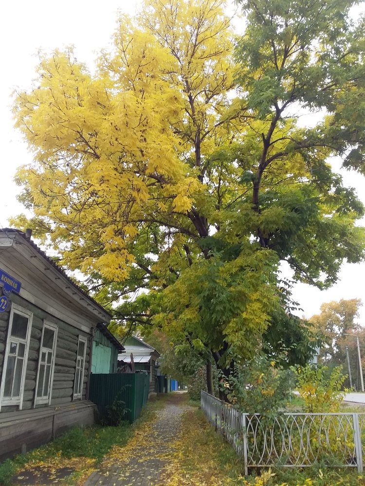 Photograph by Максим Дубинин