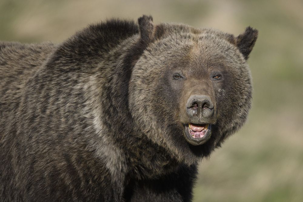 Photograph by Jorn Vangoidtsenhoven