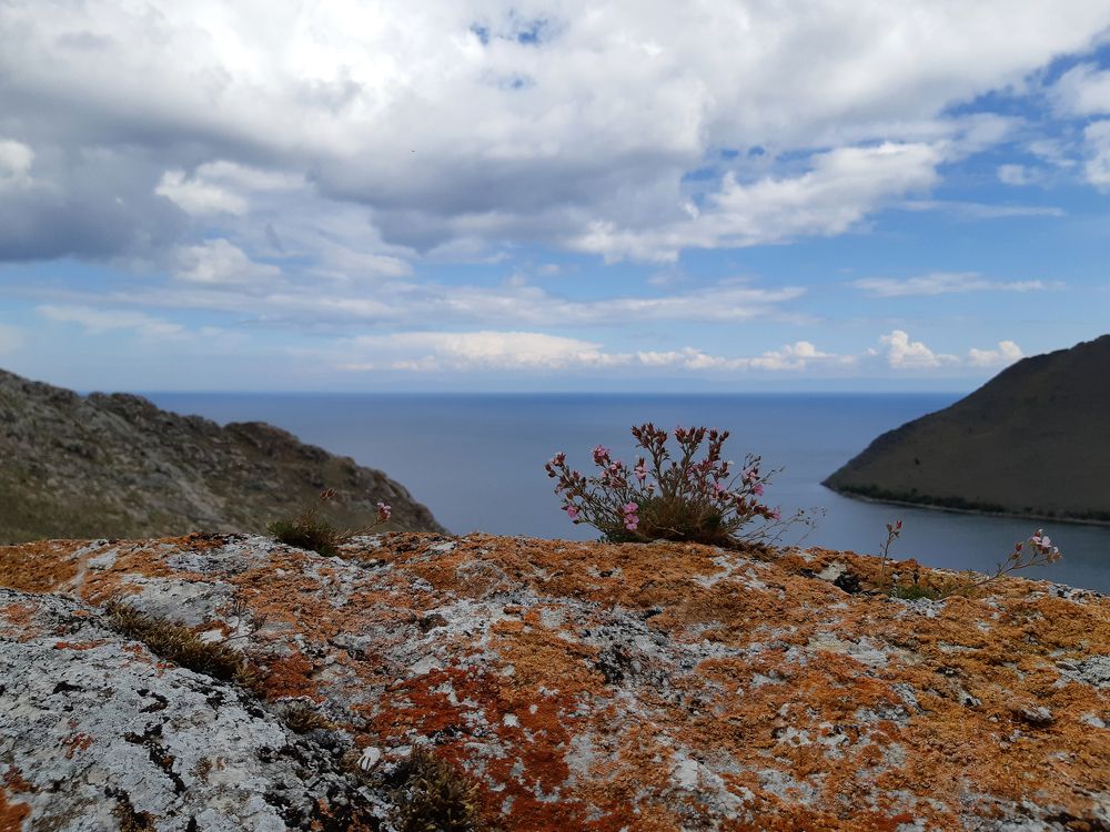 Photograph by Dmitry Demin