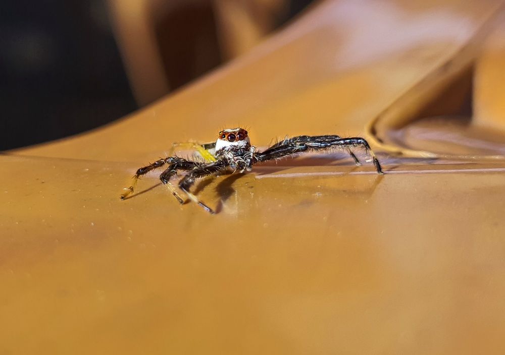 Photograph by Tanmay Karmakar