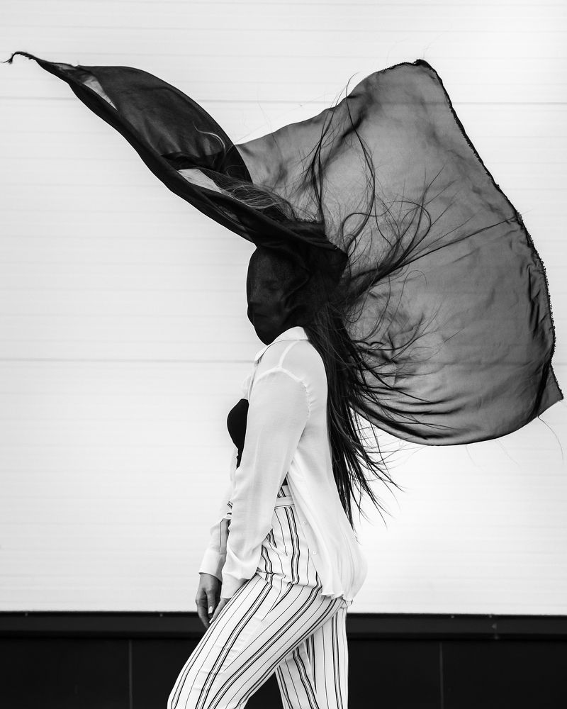 Фотография автора Дмитрий Соколов