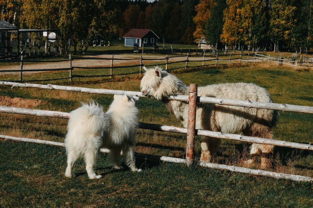 Photograph by коля