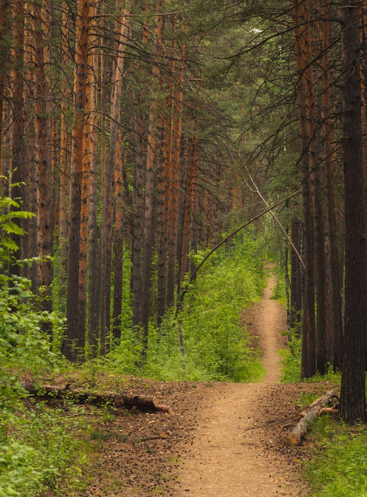 Photograph by Михаил Бирюков