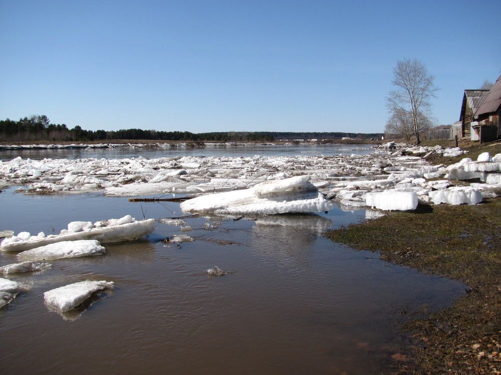 Photo #7233054