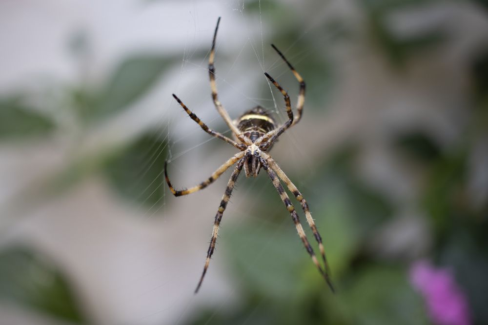 Photograph by Maria de los Angeles Osorio