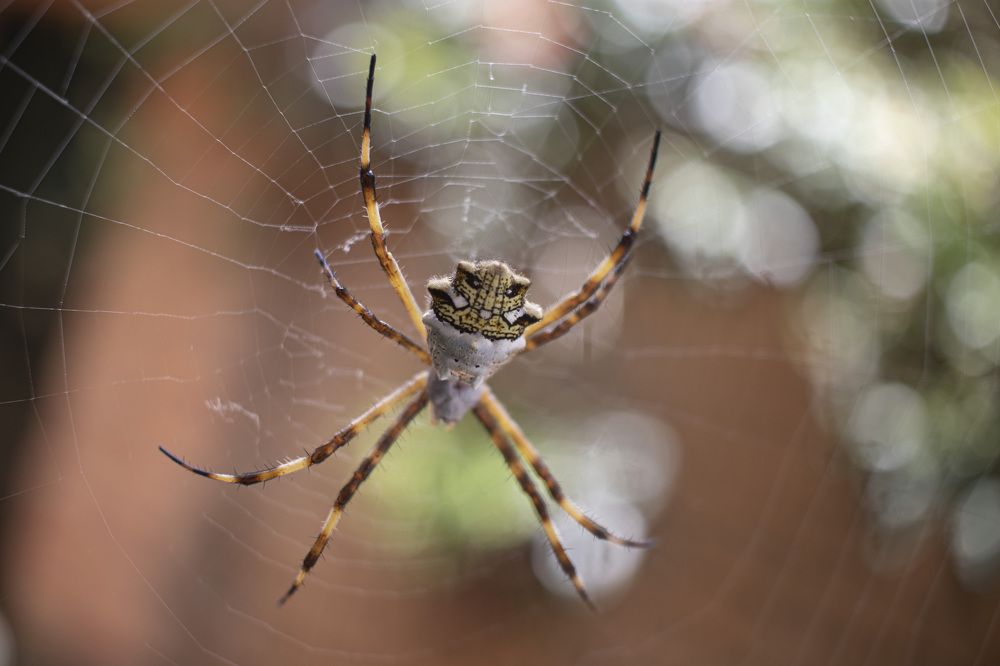 Photograph by Maria de los Angeles Osorio