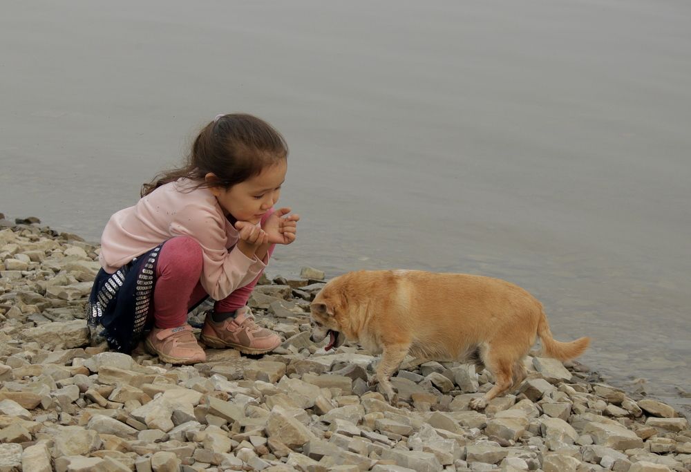 Photograph by Александр Велигура