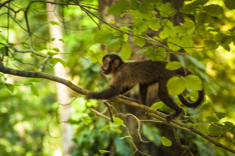 Photograph by Jorge Almeida Filho