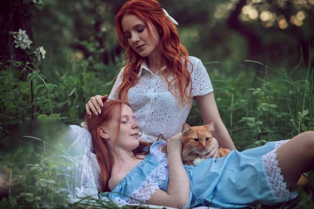 Photograph by Людмила Казак