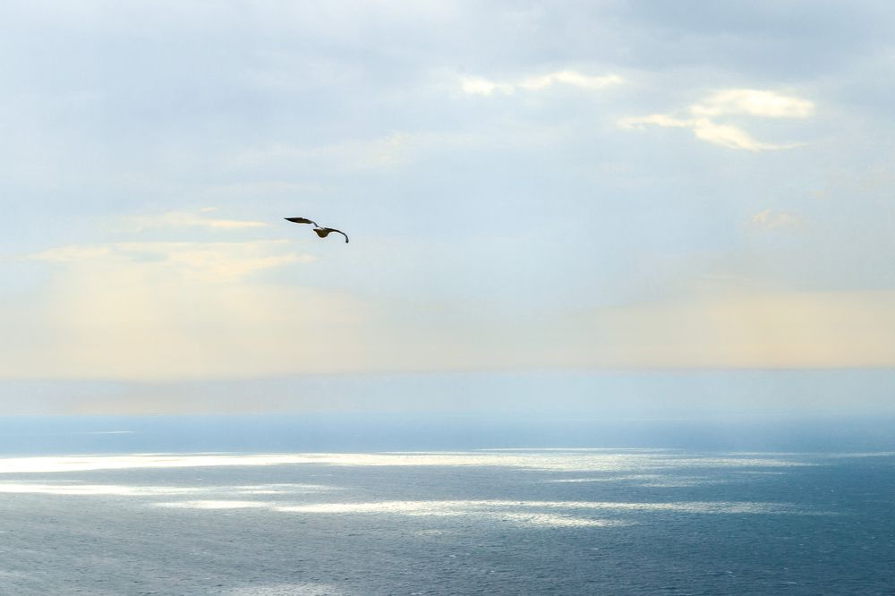 Photograph by Евгений Панов