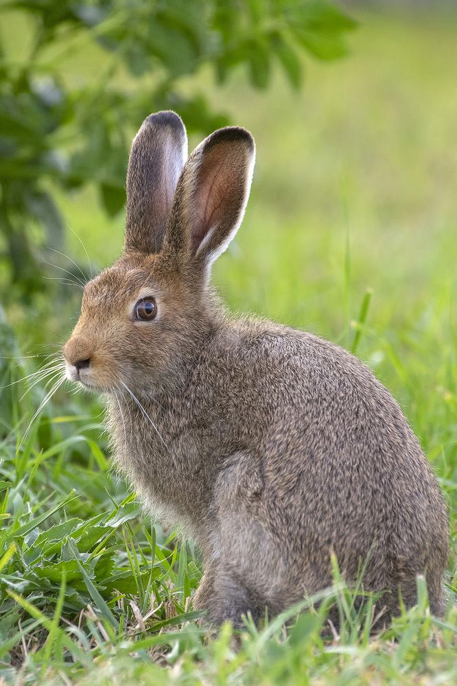 Photograph by Владимир Письмак