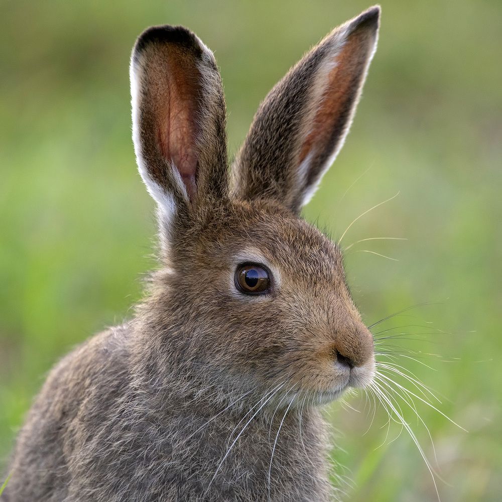Photograph by Владимир Письмак