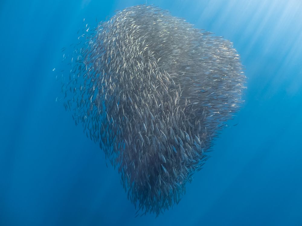 Photograph by Kateryna Terets