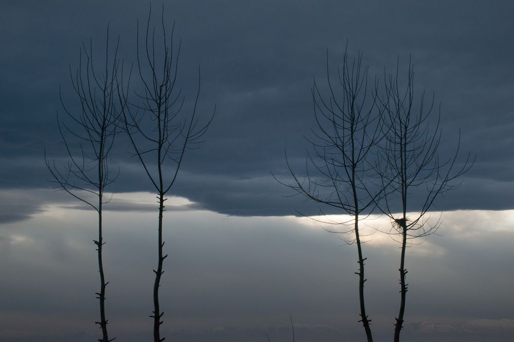 Photograph by Mahyar Kantoori