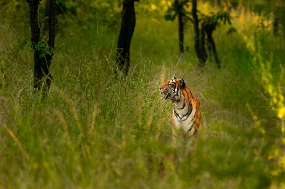 Photograph by Vinod Jagan