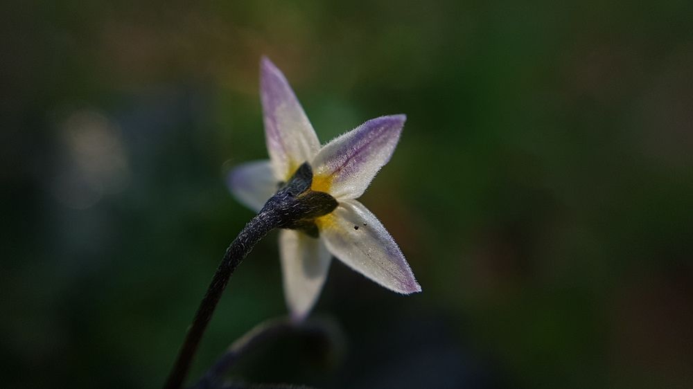 Photograph by Хачик Аджатян