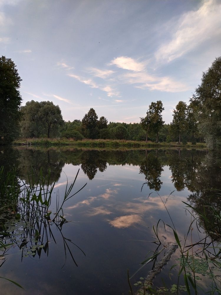 Photograph by Анна Паулюконети