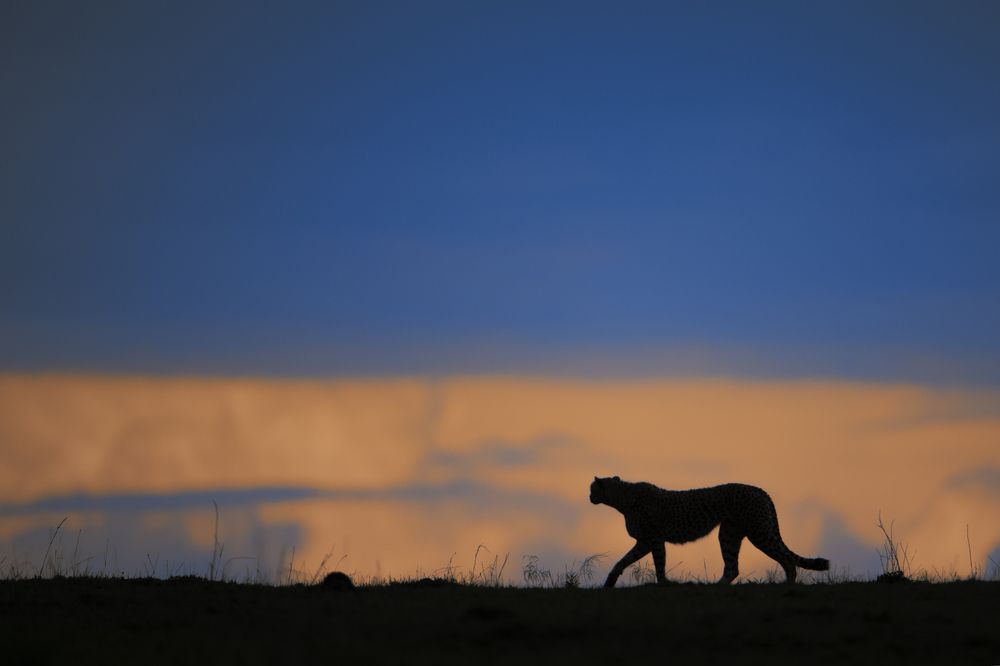 Photograph by Dilip Shah