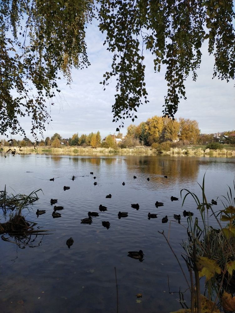 Photograph by Анна Паулюконети