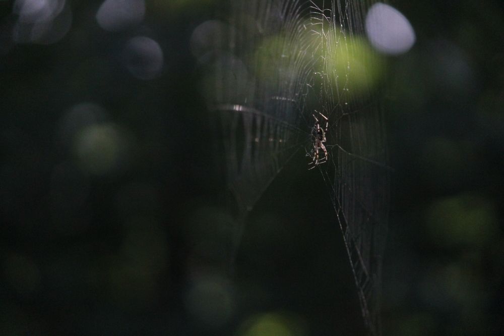 Photograph by VIVEK VYAS