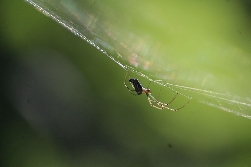 Photograph by VIVEK VYAS