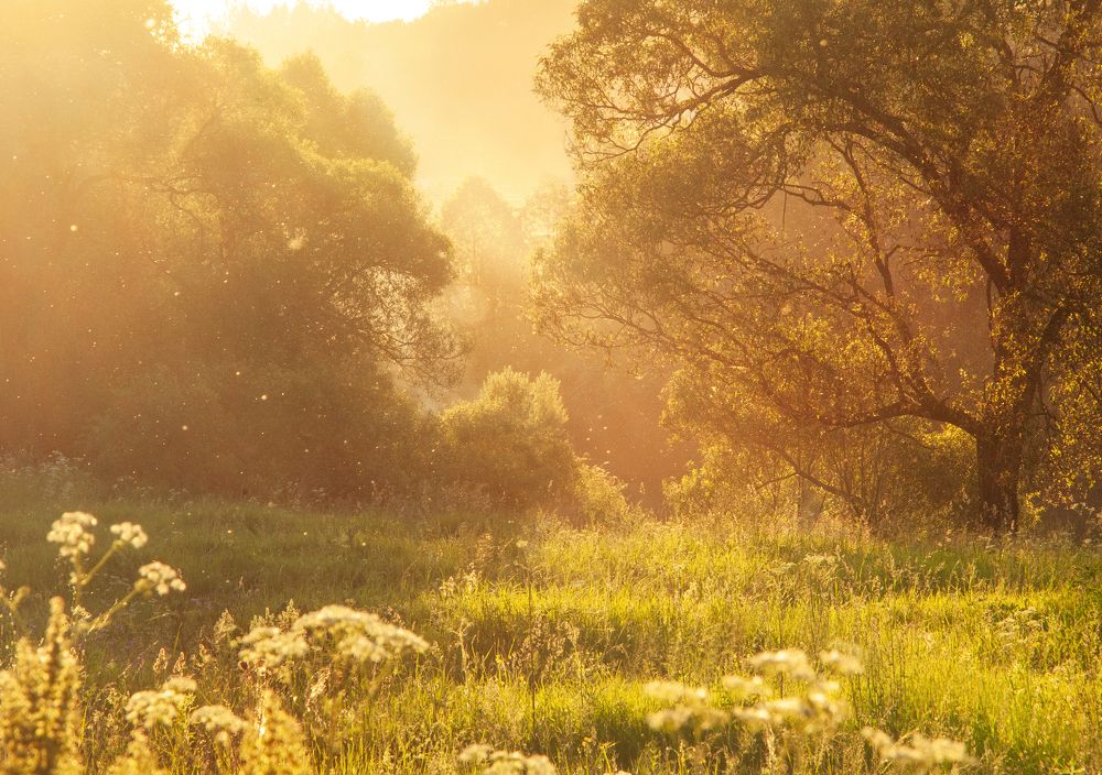 Photograph by Евгения Ботова