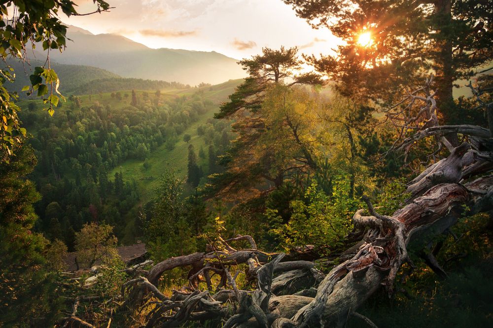 Photograph by Евгения Ботова