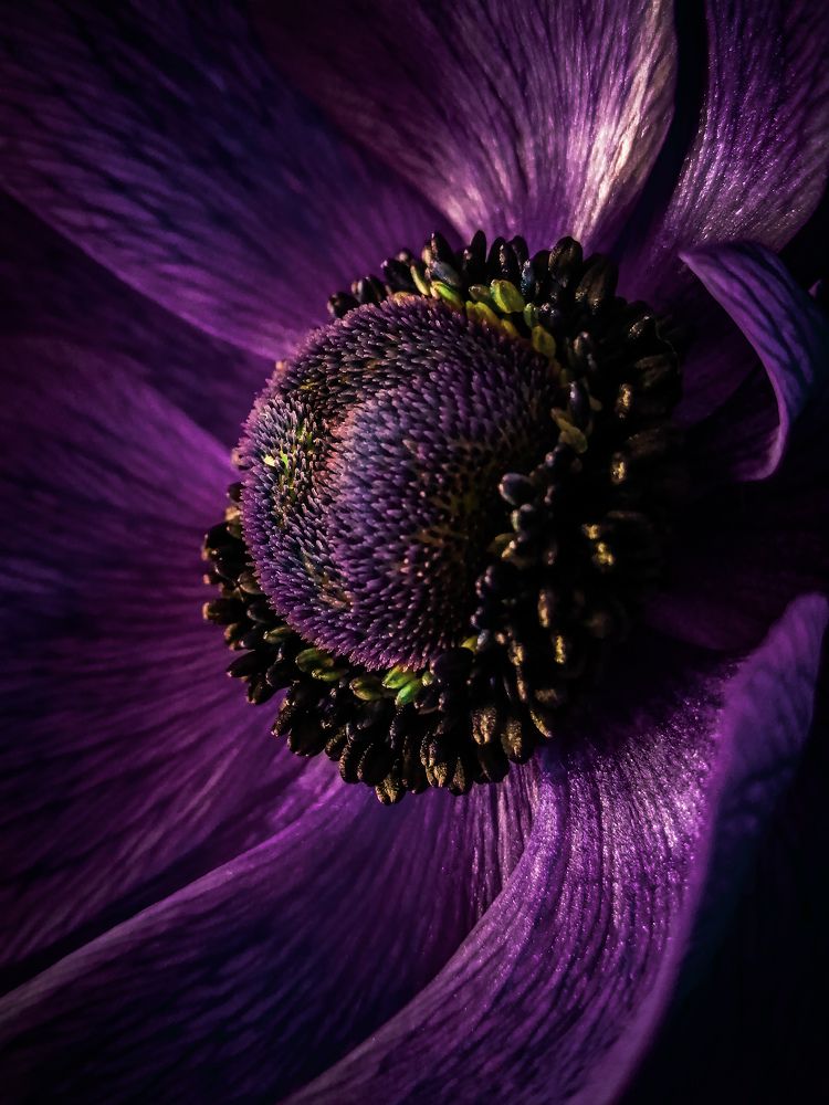 Photograph by Лапшина Владлена