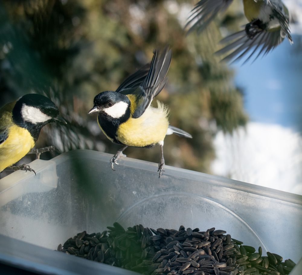 Photograph by Elena Lopatina