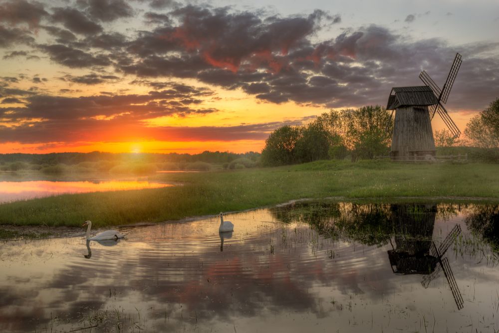 Photograph by Эдуард Гордеев