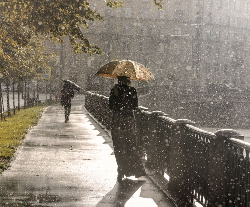 Осенний дождь...