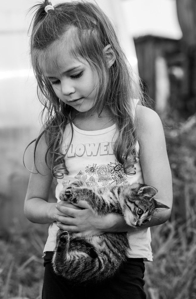 Photograph by Дмитрий Соколов