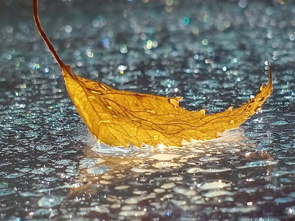 Кораблик осени