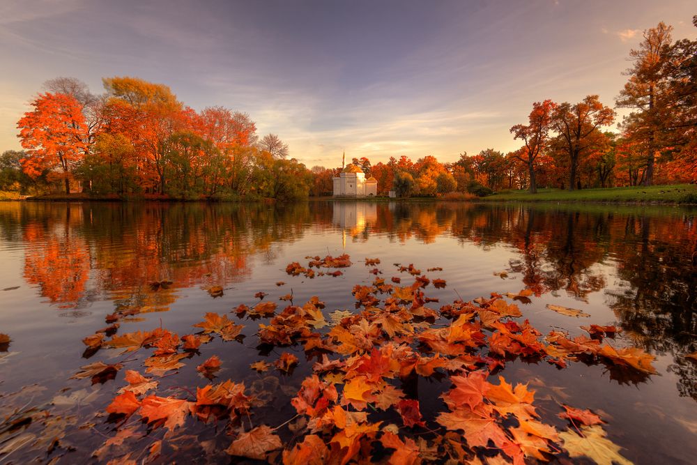 Photograph by Эдуард Гордеев