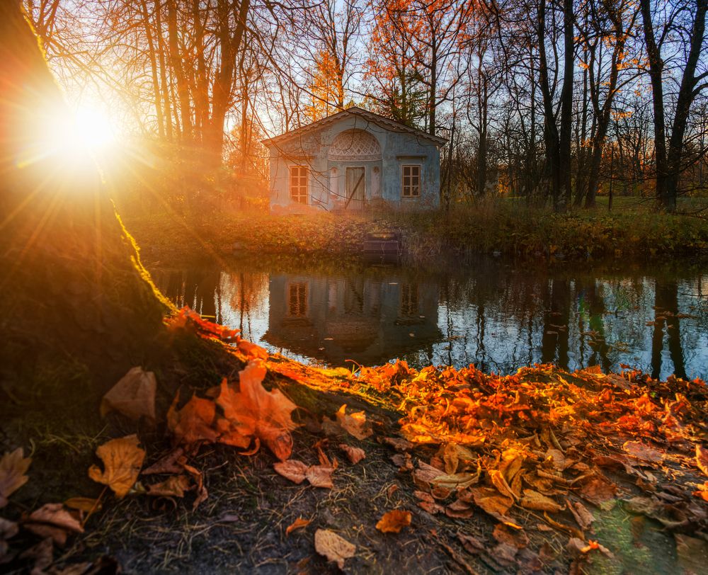 Photograph by Эдуард Гордеев