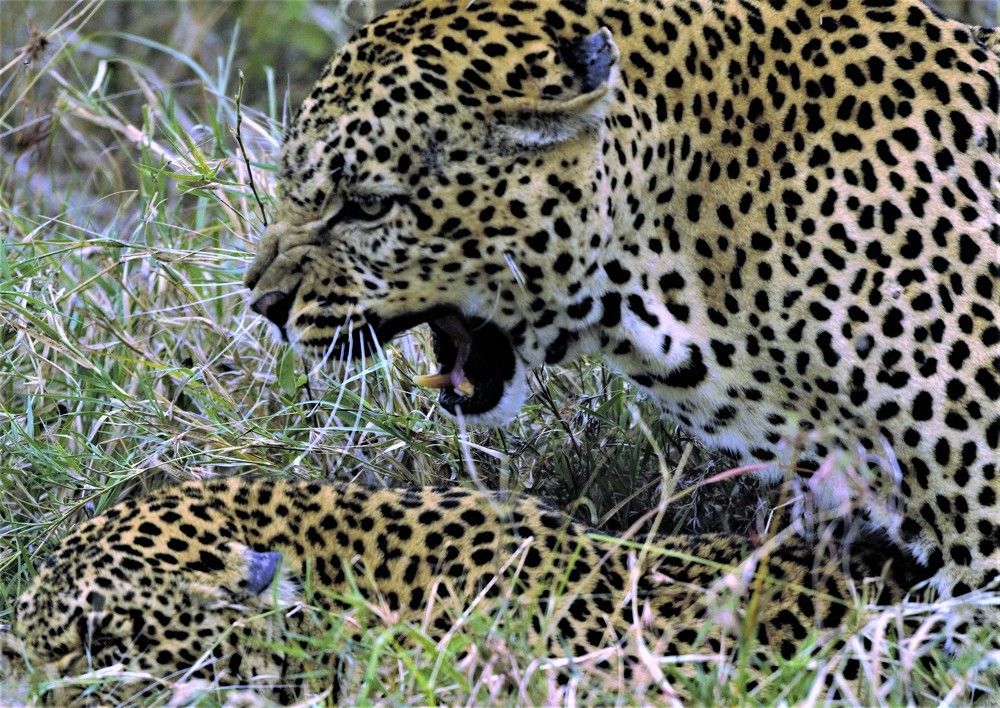 Photograph by Jimmy Cherian