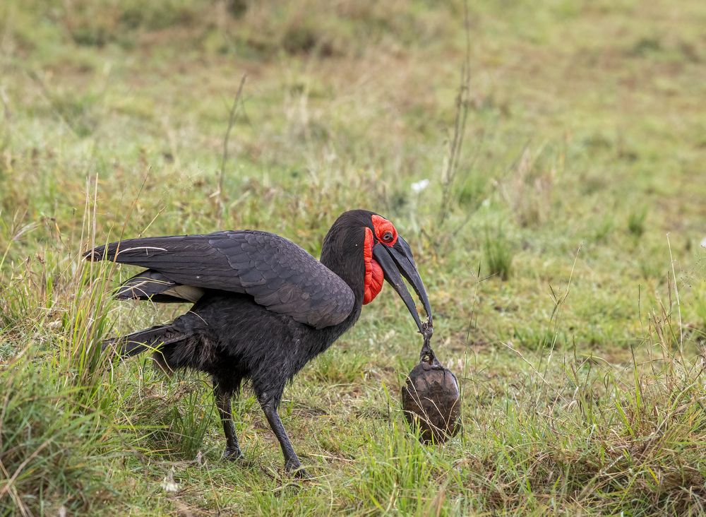 Photograph by Dilip Shah