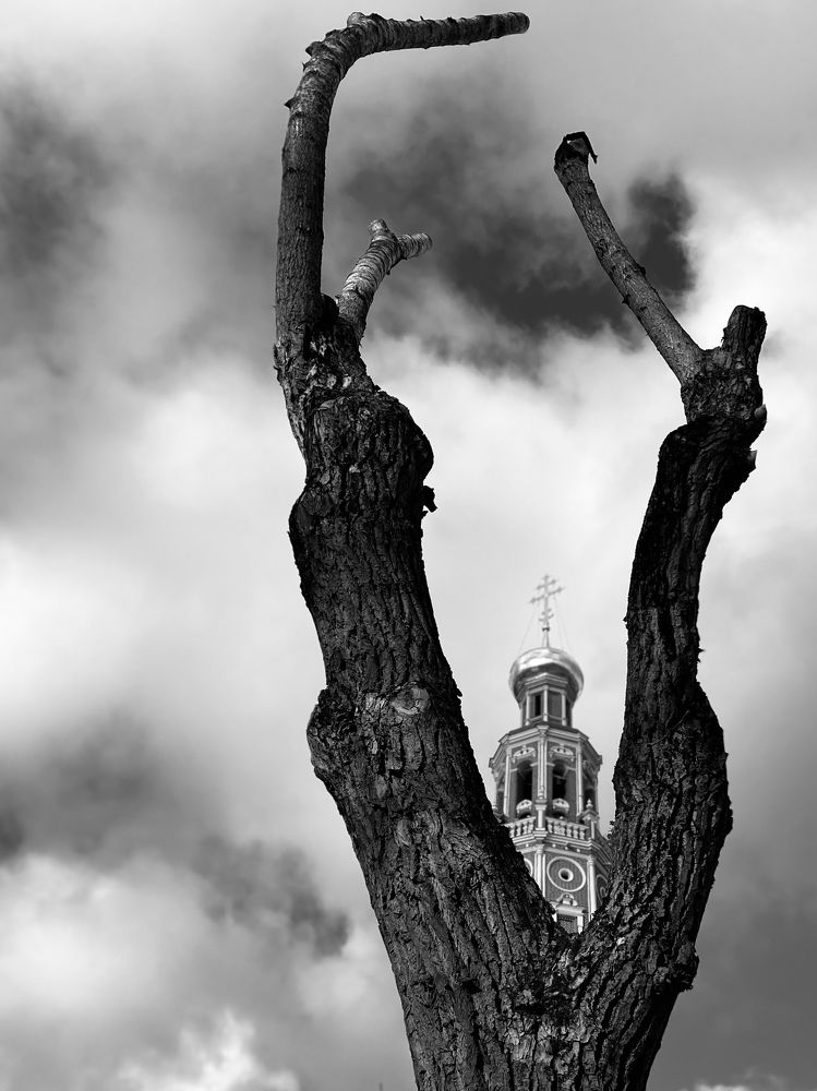 Photograph by Ива