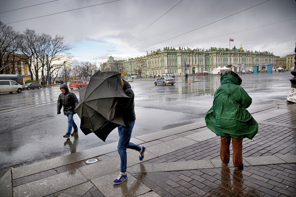 Штормовое предупреждение.