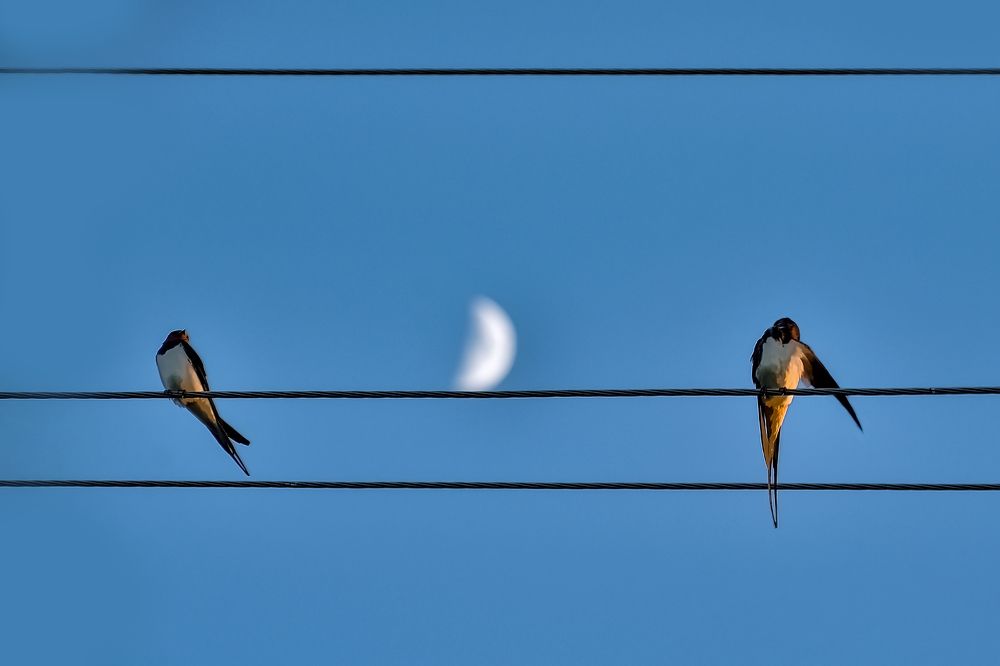 Photograph by Margarita