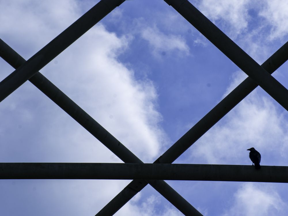 Photograph by Nargis Akter Sima