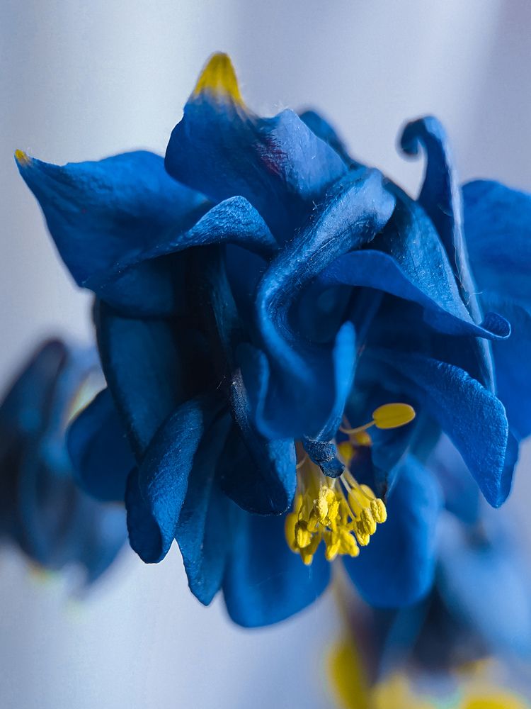 Photograph by Татьяна Кравченко