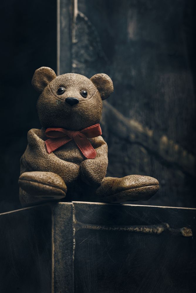 Photograph by Anton Mihai